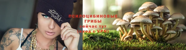 амф Белокуриха