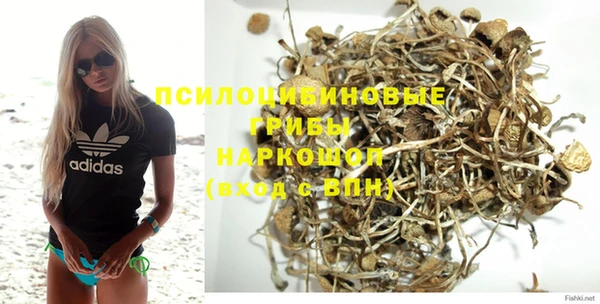 амф Белокуриха