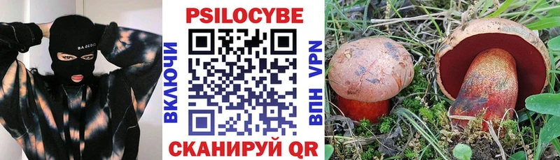 Галлюциногенные грибы Magic Shrooms наркотики Пенза